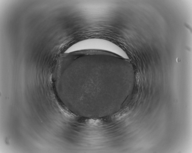 X0000094960570200712201203