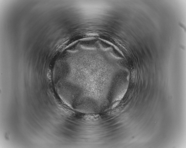 X0000094960571200712201203