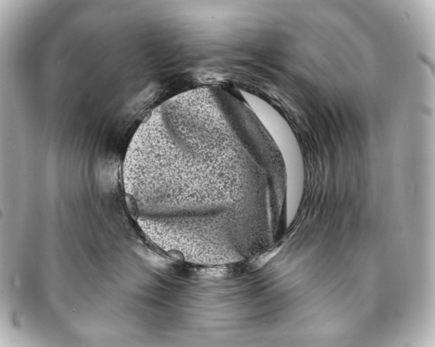 X0000094960574200712201203