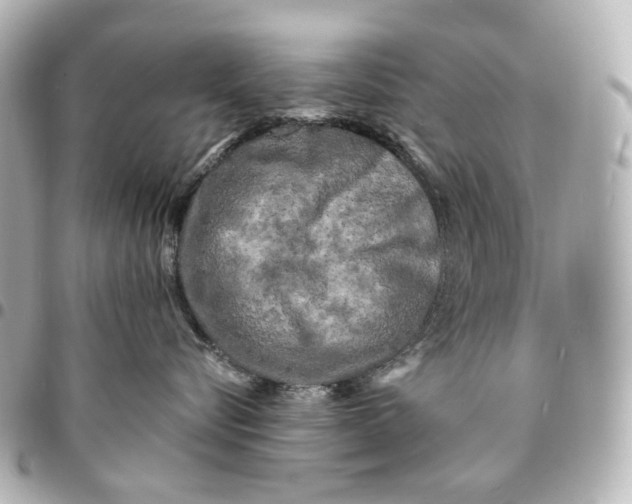 X0000094960576200712201203