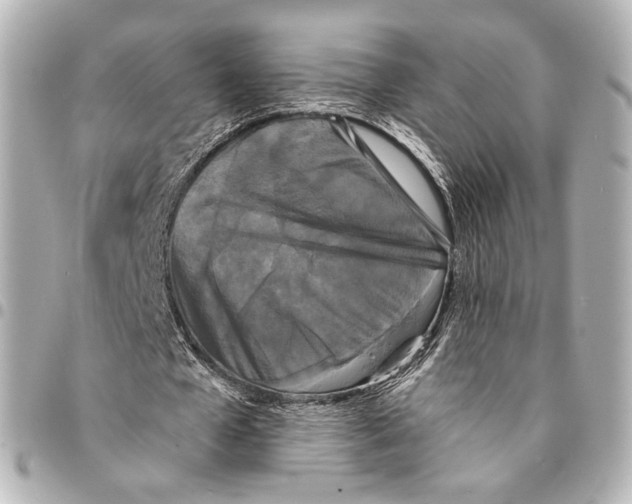 X0000094960577200712201202