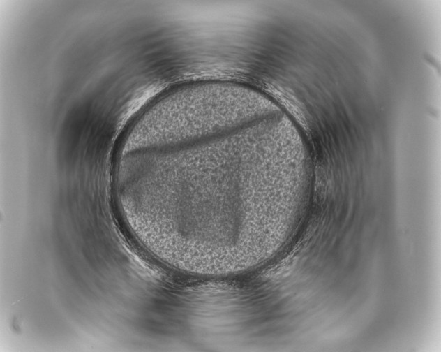 X0000094960578200712201202