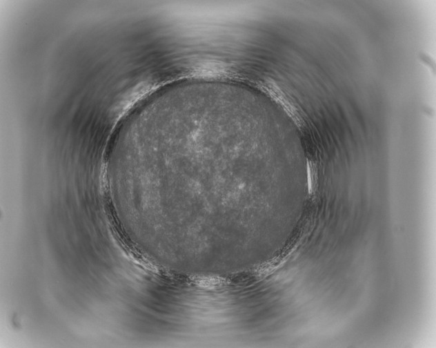 X0000094960579200712201202