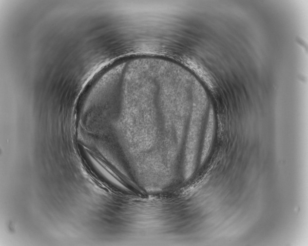 X0000094960580200712201202