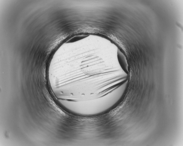 X0000094960581200712201202