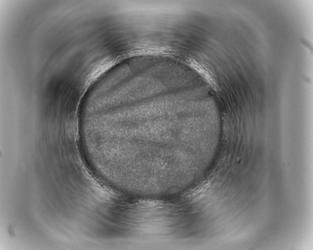 X0000094960582200712201202