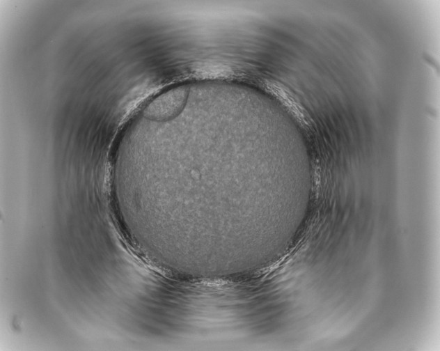 X0000094960583200712201202