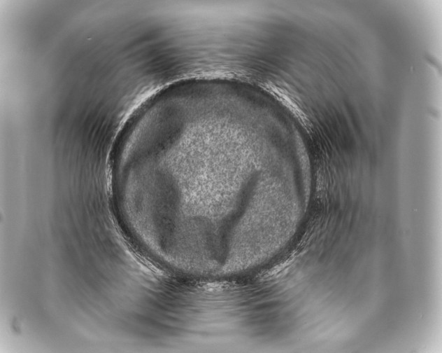 X0000094960584200712201202