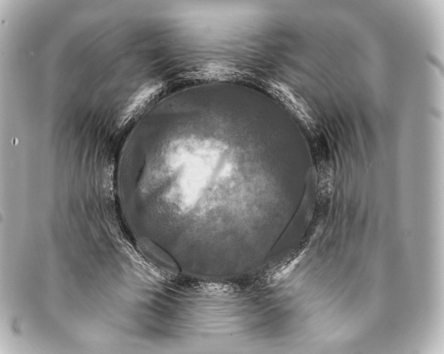 X0000094960585200712201202