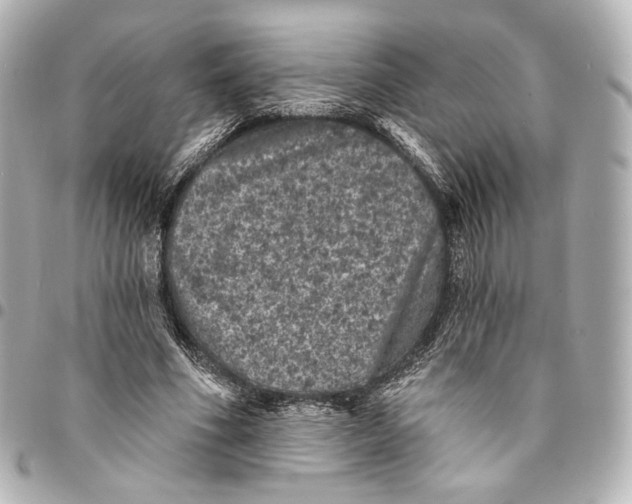 X0000094960586200712201202