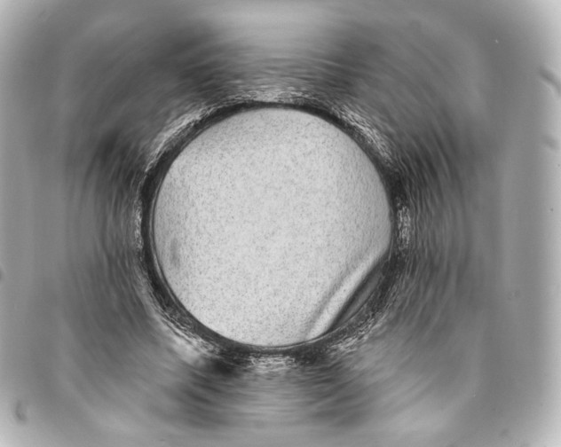 X0000094960587200712201202