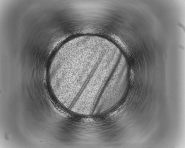 X0000094960588200712201202