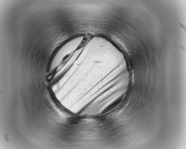 X0000094960589200712201202