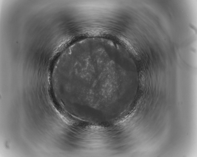 X0000094960590200712201202