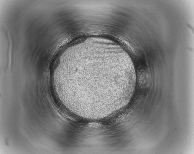 X0000094960591200712201202