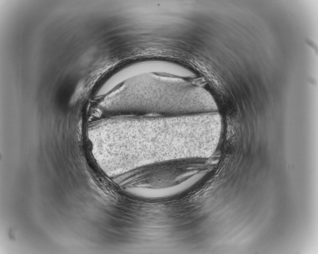 X0000094960592200712201202