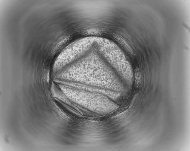 X0000094960593200712201202