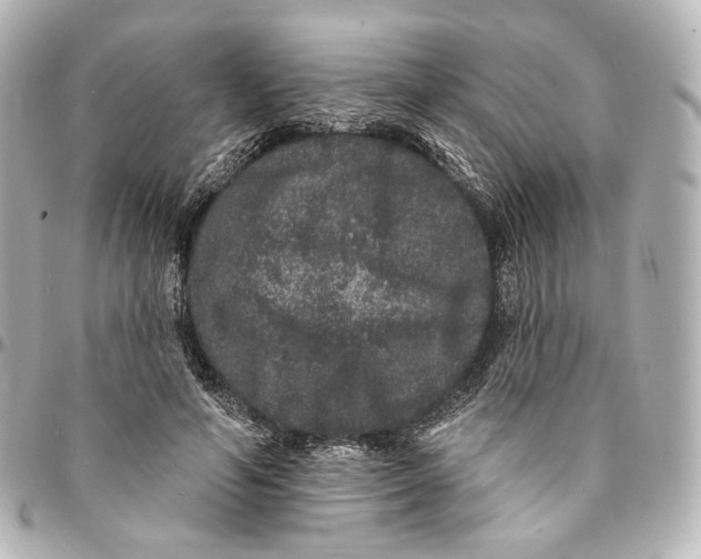 X0000094960594200712201202