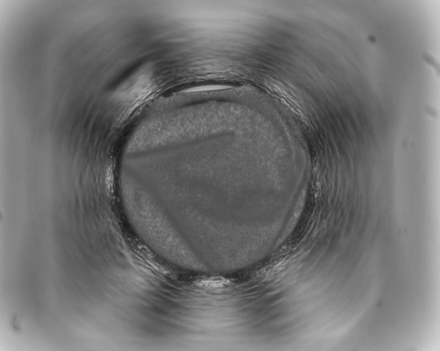 X0000094960595200712201202