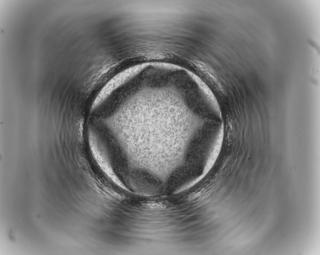 X0000094960596200712201202