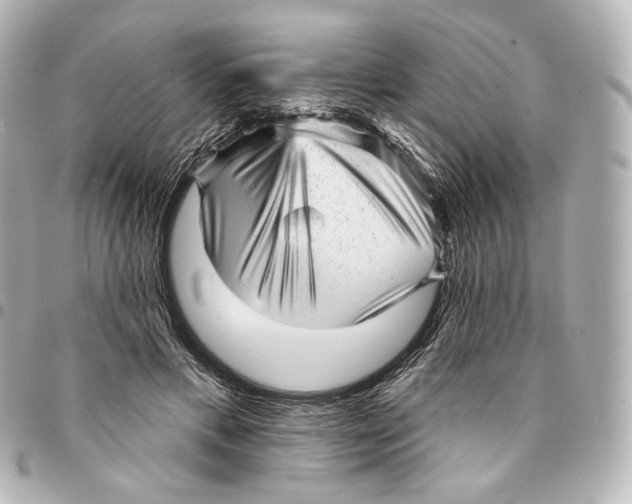 X0000094960597200712201202