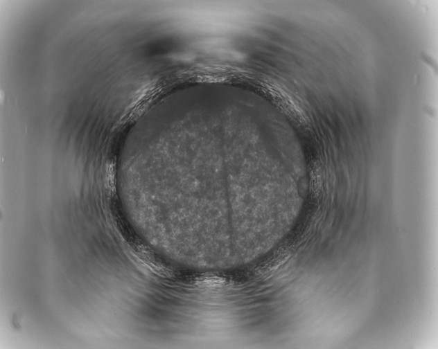 X0000094960598200712201202