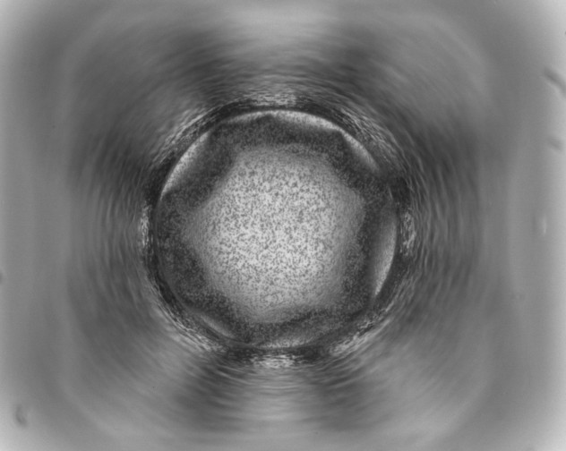 X0000094960600200712201202