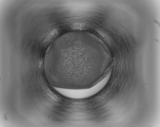 X0000094960601200712201202