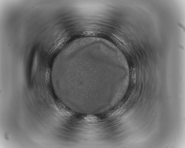 X0000094960603200712201202