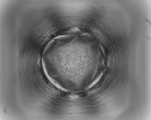 X0000094960604200712201202