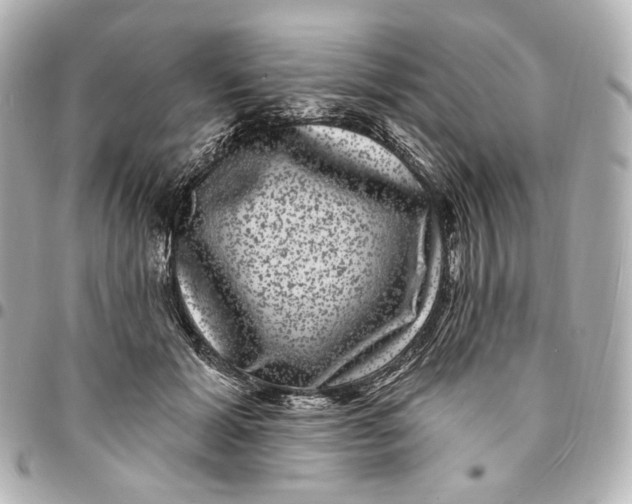 X0000094960605200712201202