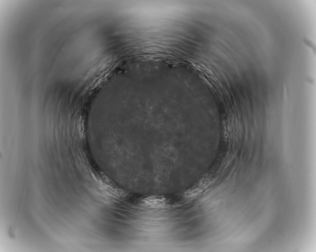 X0000094960606200712201202