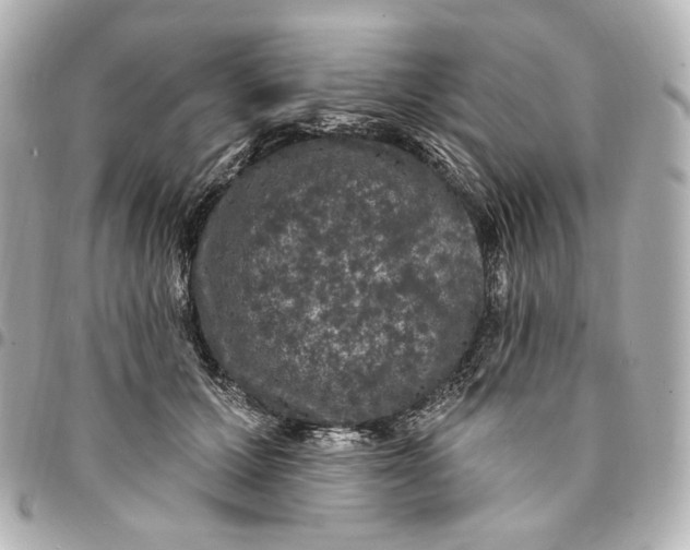 X0000094960607200712201202