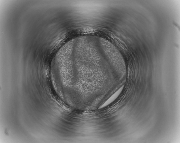 X0000094960608200712201202