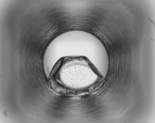 X0000094960609200712201202