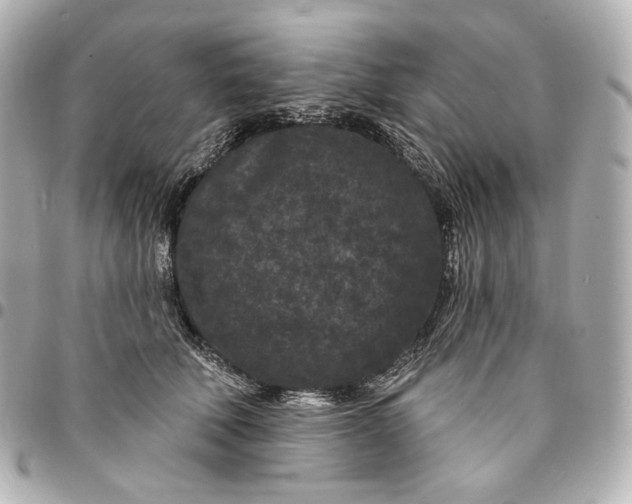 X0000094960610200712201202