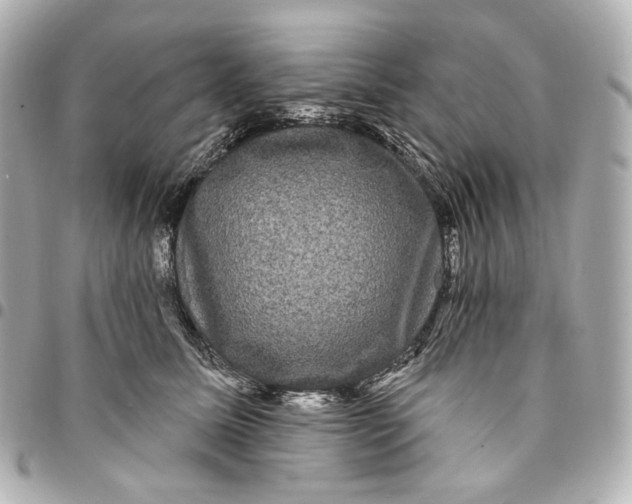 X0000094960611200712201202