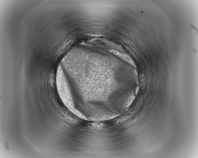 X0000094960612200712201202