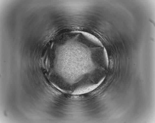 X0000094960613200712201202