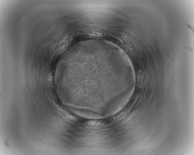 X0000094960614200712201202