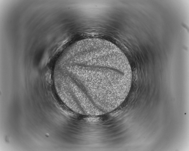 X0000094960615200712201202