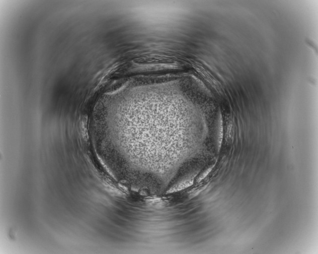 X0000094960616200712201202