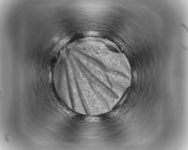 X0000094960617200712201202