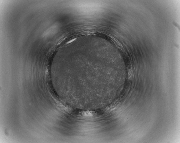 X0000094960618200712201202