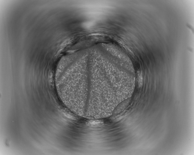 X0000094960619200712201202