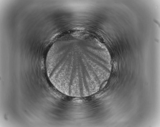 X0000094960620200712201202