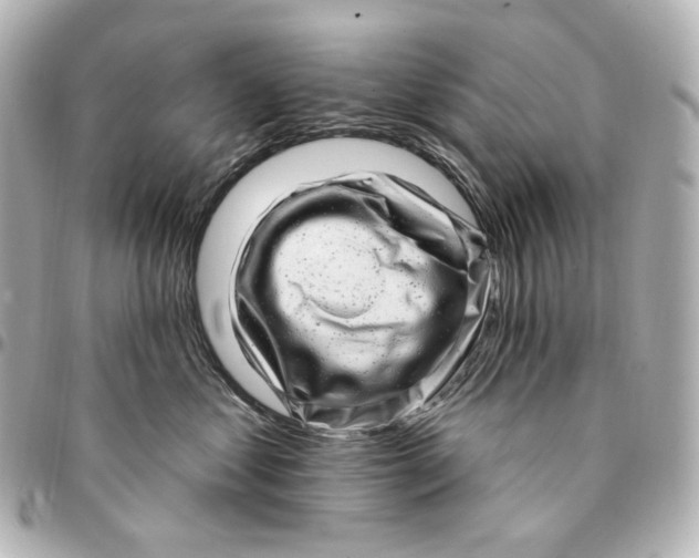 X0000094960621200712201202