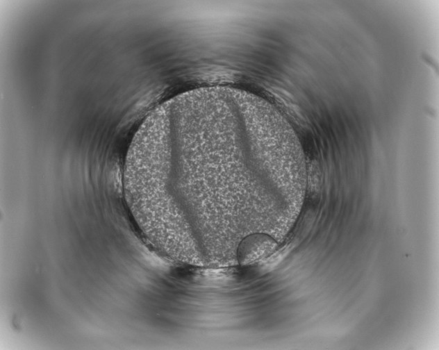 X0000094960622200712201202