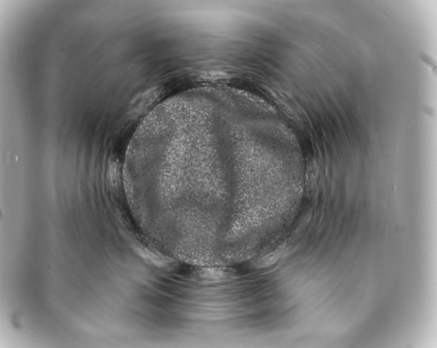 X0000094960623200712201202