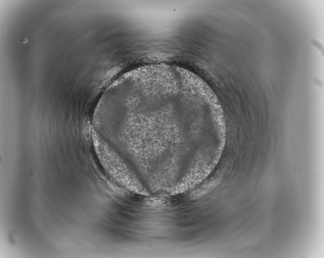 X0000094960624200712201202